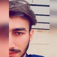syed_0313