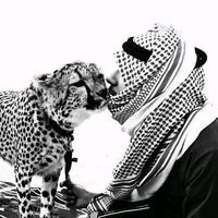 الصوت الأصلي