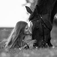 fiefje.x