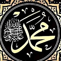 user297251716