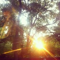 sunbl00mm