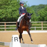 phxebesimcoxdressage