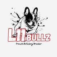 l11_bullz