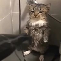 azurtsedits