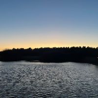 оригінальний звук