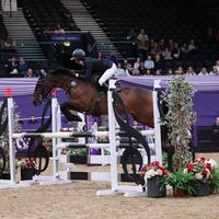 lsc_showjumpingg