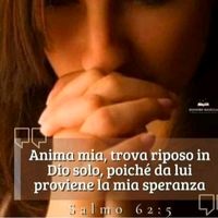 io.credo.in.dio