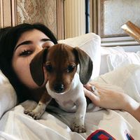 kendall_list