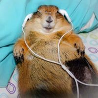 original sound