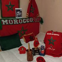 moole_drapeau_officiel