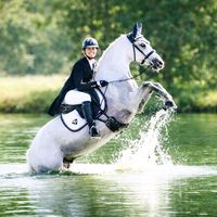 doux_reve_equin