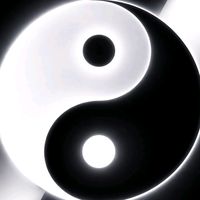 www.tiktok.commillim