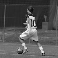 riccardo_miccoli