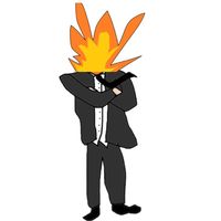 yourguestflames