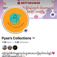 pyaecollections7789