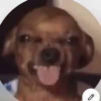 ppololola
