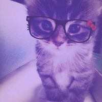 isavedyou_