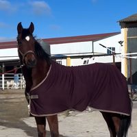 horsepride_bleu