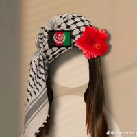 mohnabiz