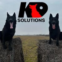 deian_k9solutions