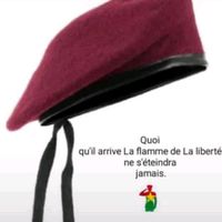briseur12