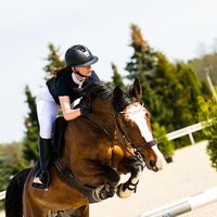 nz_showjumping