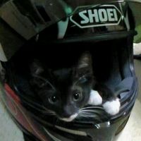 iloveyamaha2xxx