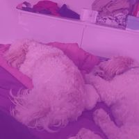 5.10.20xx