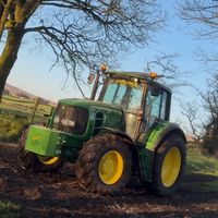 tomalexander6530
