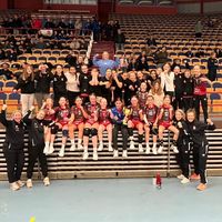 skovdehf.f2012
