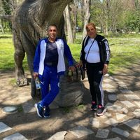 kolo_shefka