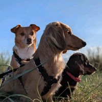 miss_millys_adventures