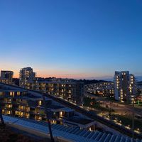skibidi_brunstad