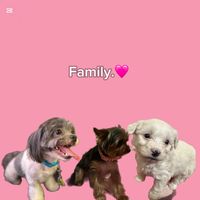 kira.kora.perla
