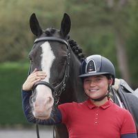 fifis_welsh_ponies