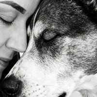 fortheloveofbella