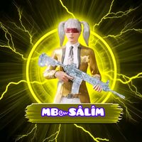 slim_gan