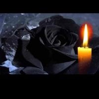 marianmunteanu568