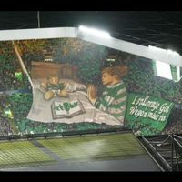 ira.jota