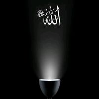 hussainahmad0098