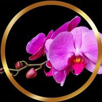 πρωτότυπος ήχος