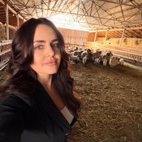 valeriacherciu