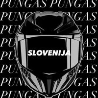 pungasslovenija
