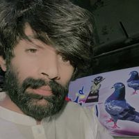 fanikhokhar17