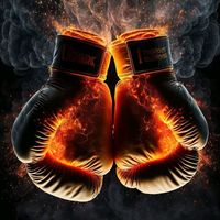 boxing2296