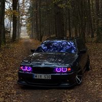 danilevi4ius