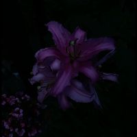 summer.2.0.2.5_