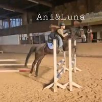 aniundluna