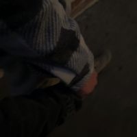 melissabrgs2