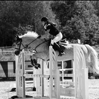 linnea_pettersson08